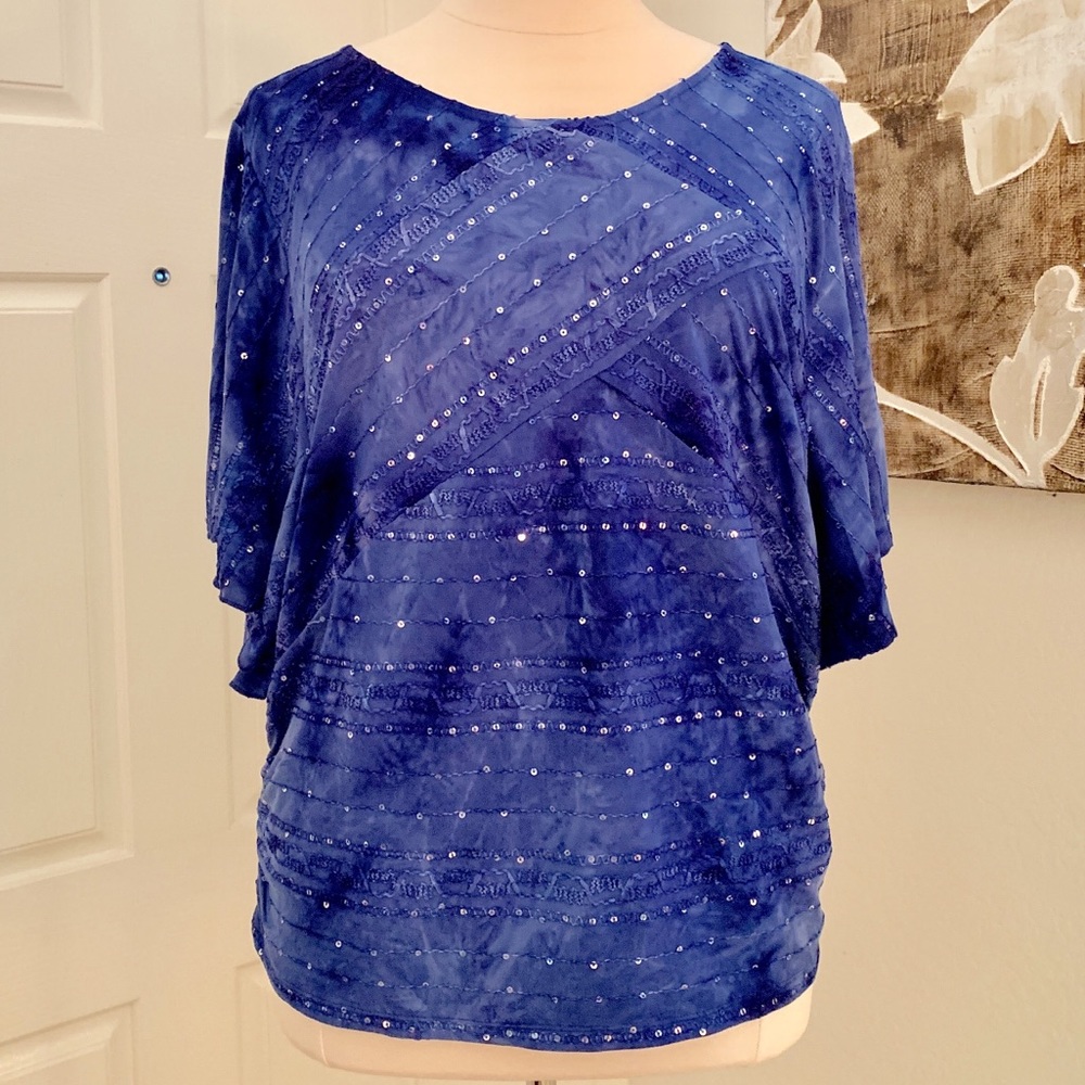 JM Collection Embroidered Sequin Blue Top